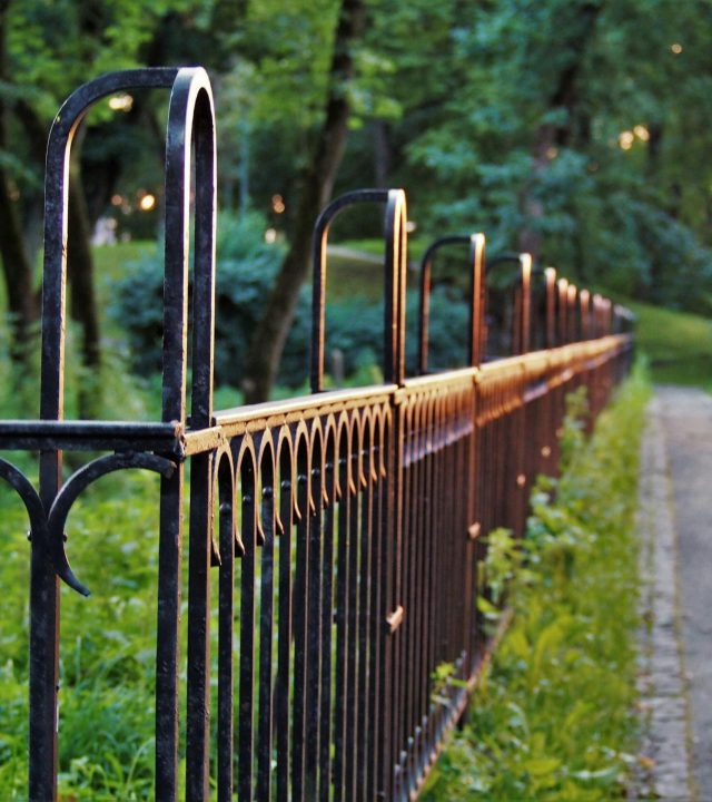 pexels-photo-635405-635405 Sunset light glimmers on metal fence in lush park pathway, creating a serene outdoor ambiance.